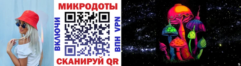 Галлюциногенные грибы Cubensis  блэк спрут зеркало  Холм 
